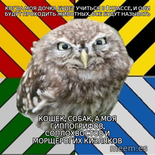 JEALOUS POTTEROMAN meme: когда моя дочка будет учиться  в 1 классе, и они будут проходить животных, все будут называть / кошек, собак, а моя гиппогрифов, соплохвостов и морщерогих кизляков