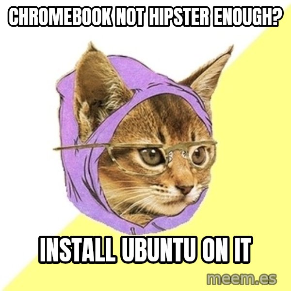 Hipster Kitty meme: chromebook not hipster enough? / install ubuntu on it