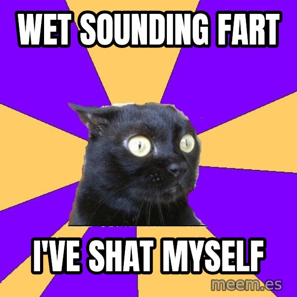 Anxiety Cat meme: wet sounding fart / i've shat myself