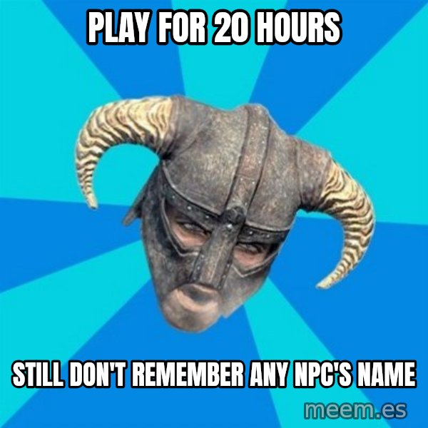 skyrim stan meme: PLAY FOR 20 HOURS / STILL DON'T REMEMBER ANY NPC'S NAME