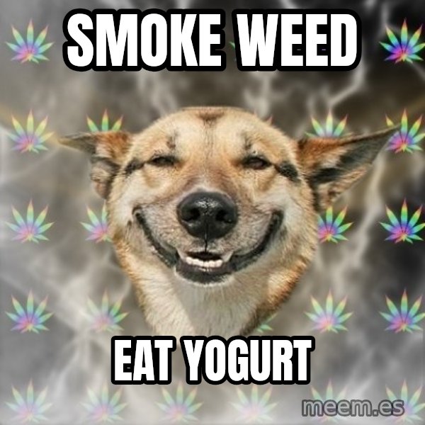 Stoner Dog meme: smoke weed / eat yogurt