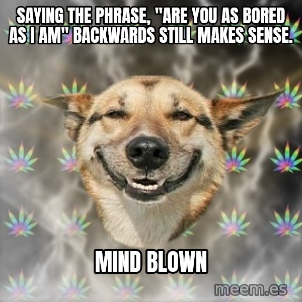 Stoner Dog meme: saying The Phrase, "are you as bored as i am" backwards still makes sense. / Mind Blown