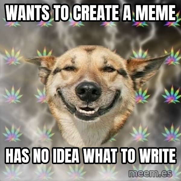 Stoner Dog meme: Wants to create a meme / has no idea what to write