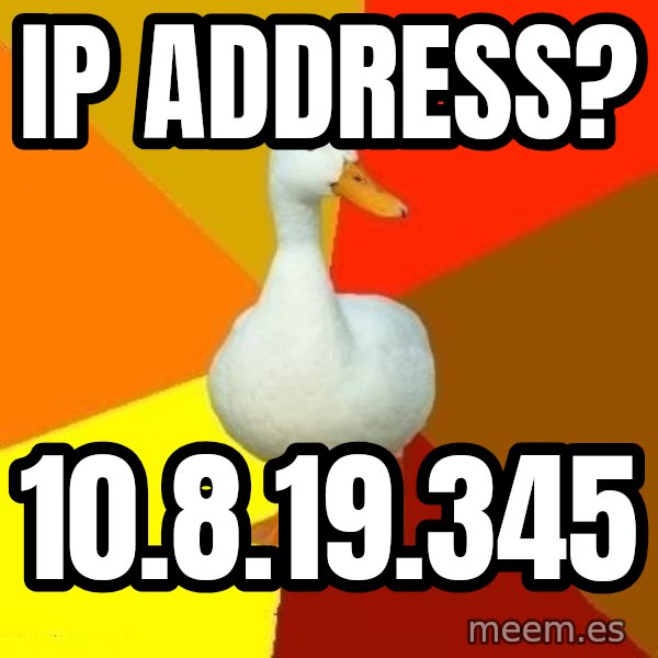 Technologically Impaired Duck meme: ip address? / 10.8.19.345