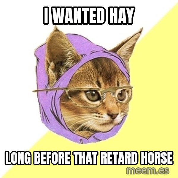 Hipster Kitty meme: I wanted hay / long before that retard horse