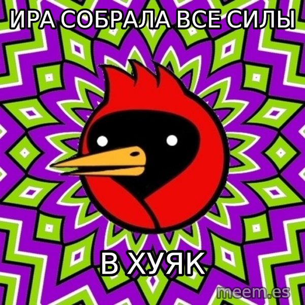 Omsk Crow meme: ира собрала все силы / в хуяк