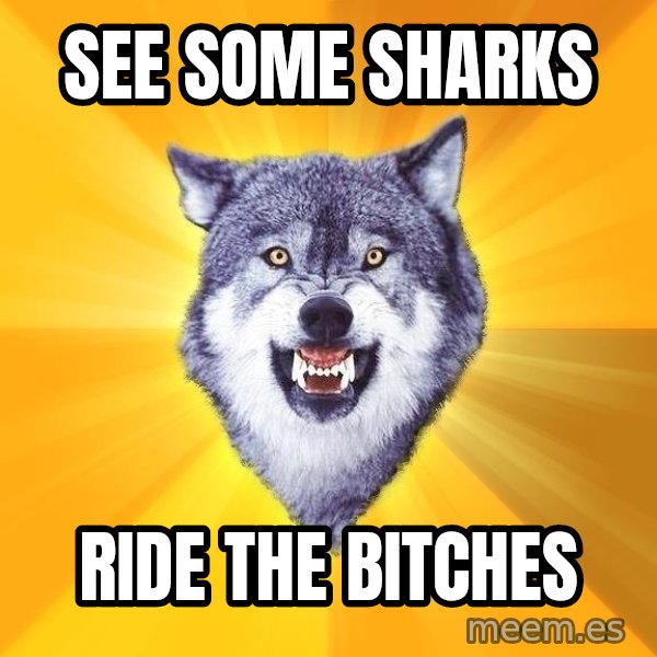 Courage Wolf meme: See some sharks / ride the bitches