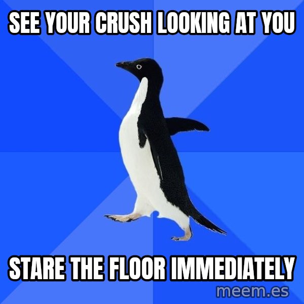 Socially Awkward Penguin meme: see your crush looking at you / stare the floor immediately