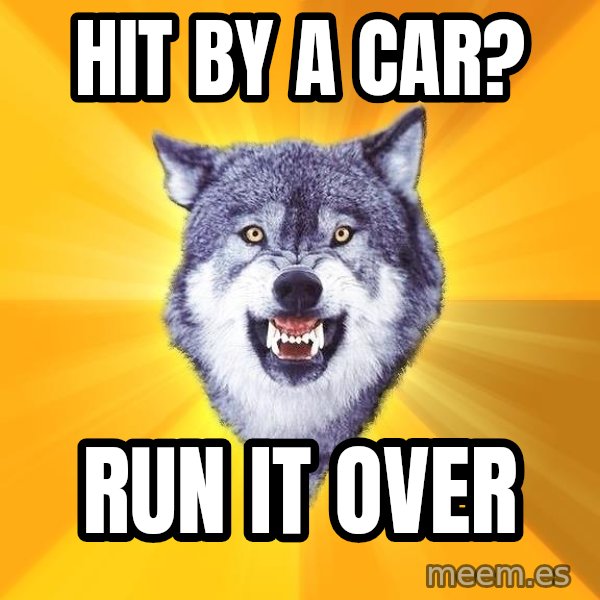 Courage Wolf meme: Hit By a car? / Run it over