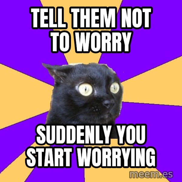 Anxiety Cat meme: tell them not to worry / suddenly you start worrying
