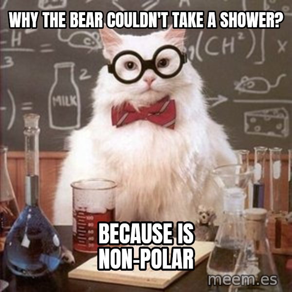 Chemistry Cat meme: Why the bear couldn't take a shower? / Because is non-polar