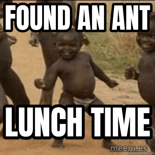 Third World Success meme: Found an ant / lunch time