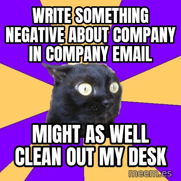 Anxiety Cat meme: WRITE SOMETHING NEGATIVE ABOUT COMPANY IN COMPANY EMAIL / MIGHT AS WELL CLEAN OUT MY DESK