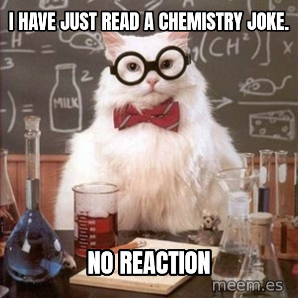 Chemistry Cat meme: I have just read a chemistry joke. / no reaction