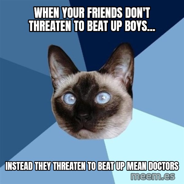 Chronic Illness Cat meme: wHEn your friends don't threaten to beat up boys... / instead they threaten to beat up mean doctors