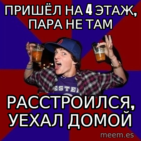 Sunny Student meme: пришёл на 4 этаж, пара не там / расстроился,       уехал домой