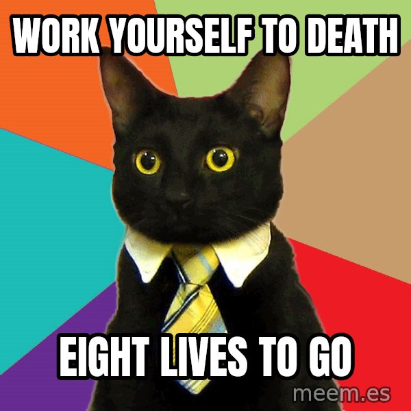 Business Cat meme: work yourself to death / eight lives to go