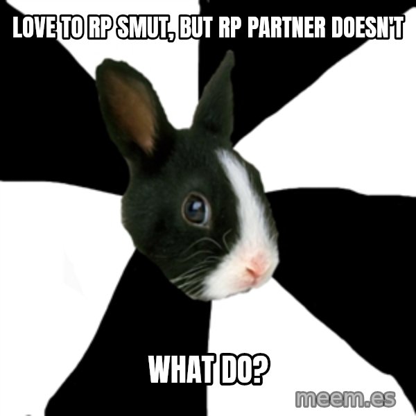Roleplaying Rabbit meme: love to rp smut, but rp partner doesn't / WHAT DO?