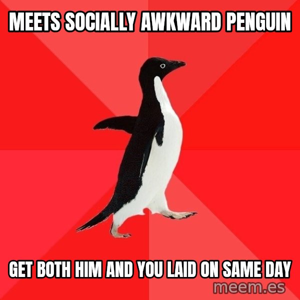 Socially Awesome Penguin meme: meets socially awkward penguin / get both him and you laid on same day