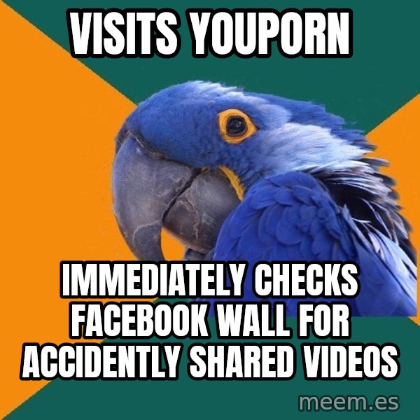 Paranoid Parrot meme: visits youporn / immediately checks facebook wall for accidently shared videos