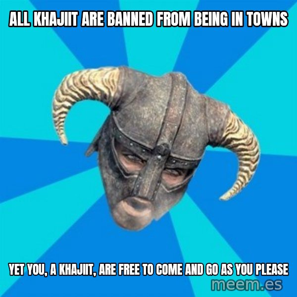 skyrim stan meme: all khajiit are banned from being in towns / yet you, a khajiit, are free to come and go as you please