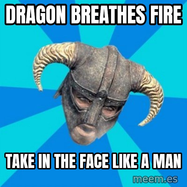 skyrim stan meme: dragon breathes fire / take in the face like a man