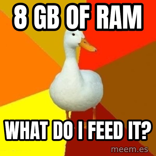 Technologically Impaired Duck meme: 8 gb of ram / what do i feed it?