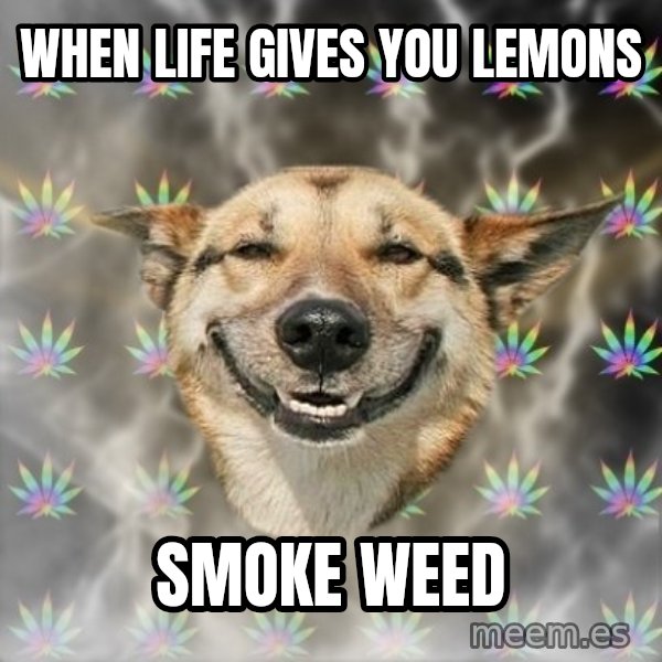 Stoner Dog meme: when life gives you lemons / smoke weed