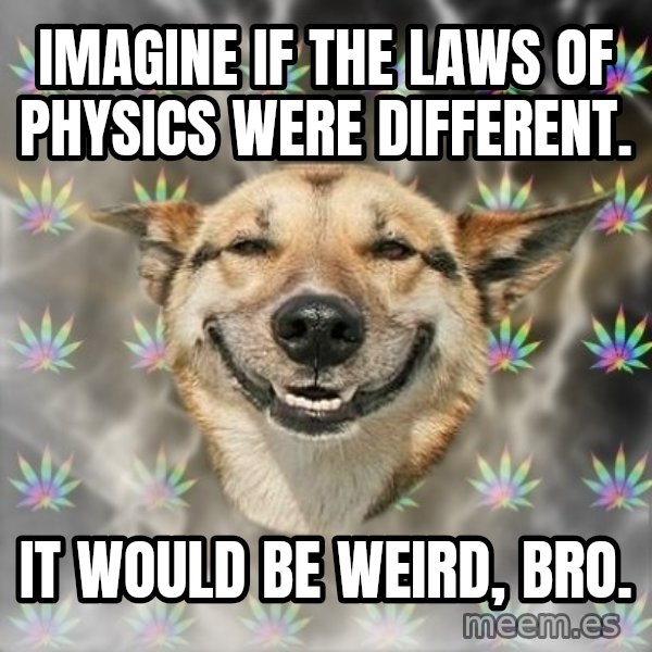 Stoner Dog meme: Imagine if the laws of physics were different. / it would be weird, bro.