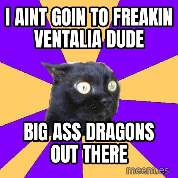 Anxiety Cat meme: i aint goin to freakin ventalia dude / big ass dragons out there