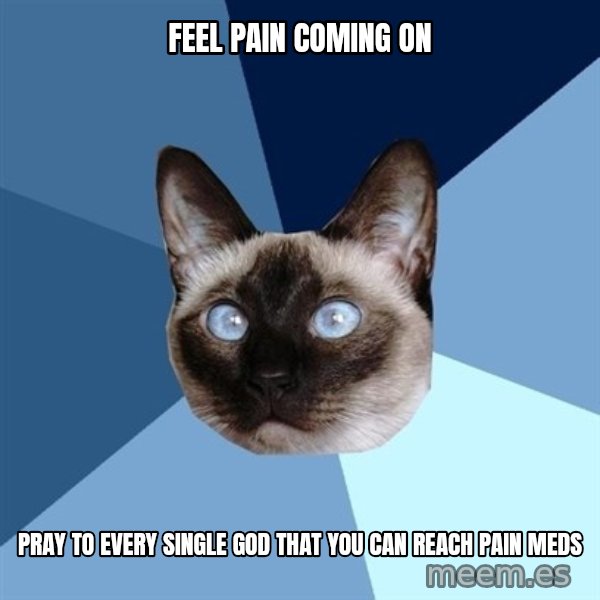Chronic Illness Cat meme: FEEL PAIN COMING ON / PRAY TO EVERY SINGLE GOD THAT YOU CAN REACH PAIN MEDS