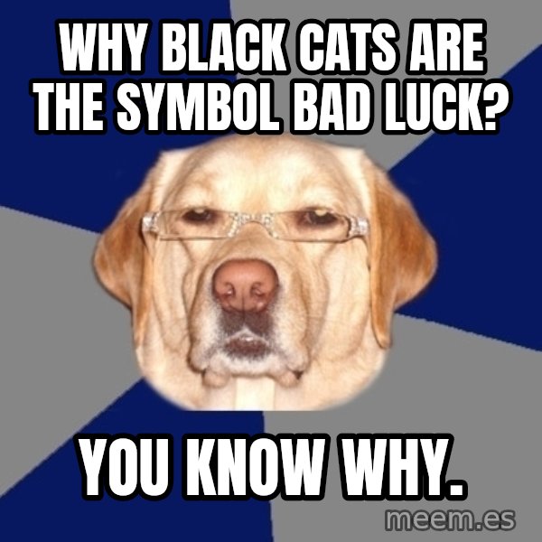 Racist Dog meme: why black cats are the symbol bad luck? / you know why.