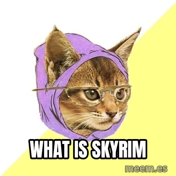 Hipster Kitty meme: What is skyrim