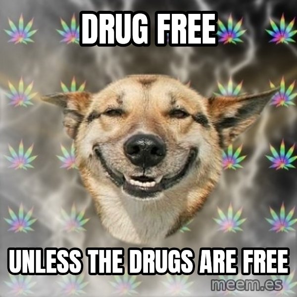Stoner Dog meme: drug free / unless the drugs are free