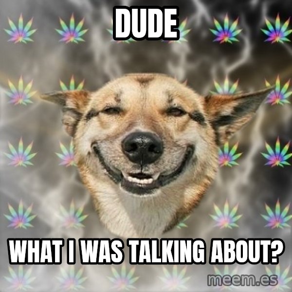 Stoner Dog meme: Dude / what i was talking about?