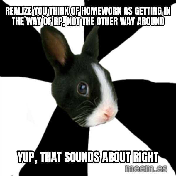 Roleplaying Rabbit meme: REalize you think of homework as getting in the way of rp, not the other way around / Yup, that sounds about right