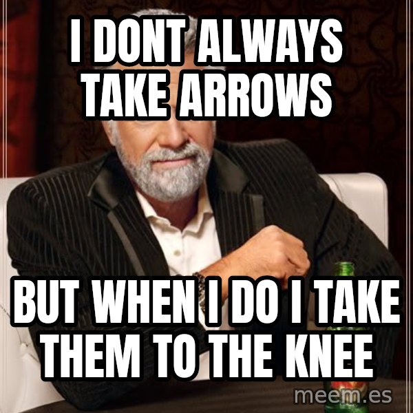 The Most Interesting Man In The World meme: I DONT ALWAYS TAKE ARROWS / BUT WHEN I DO I TAKE THEM TO THE KNEE