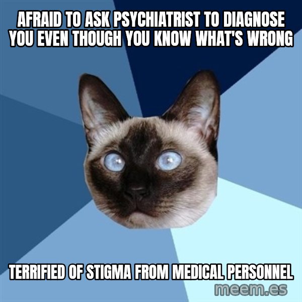Chronic Illness Cat meme: Afraid to ask psychiatrist to diagnose you even though you know what's wrong / terrified of stigma from medical personnel
