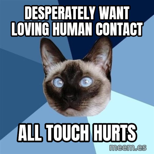 Chronic Illness Cat meme: Desperately want loving human contact / all touch hurts