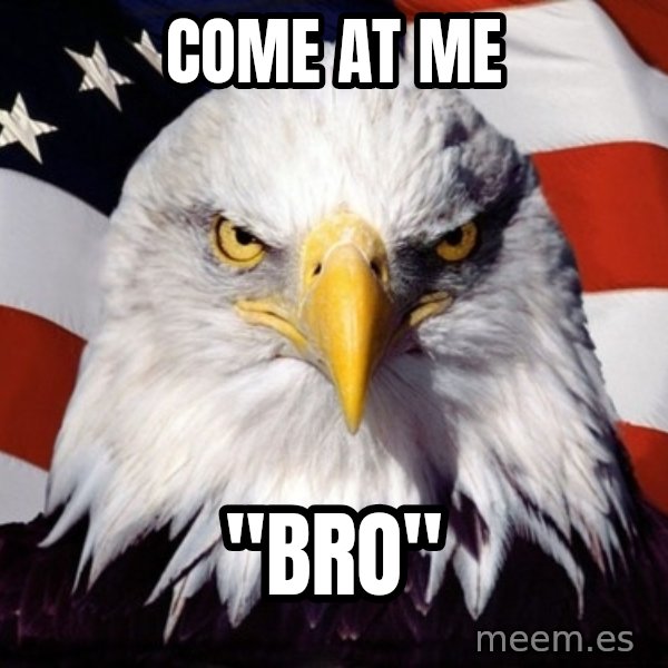 American Pride Eagle meme: come at me / "bro"