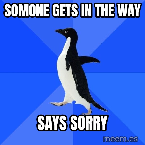 Socially Awkward Penguin meme: somone gets in the  way / says sorry