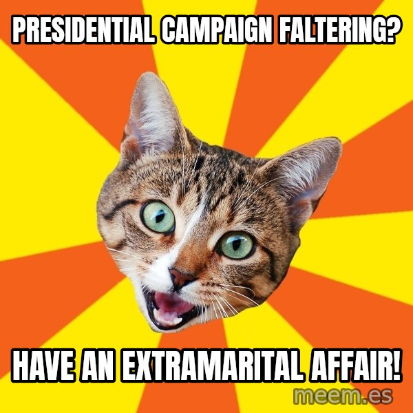 Bad Advice Cat meme: Presidential Campaign Faltering? / have an extramarital affair!