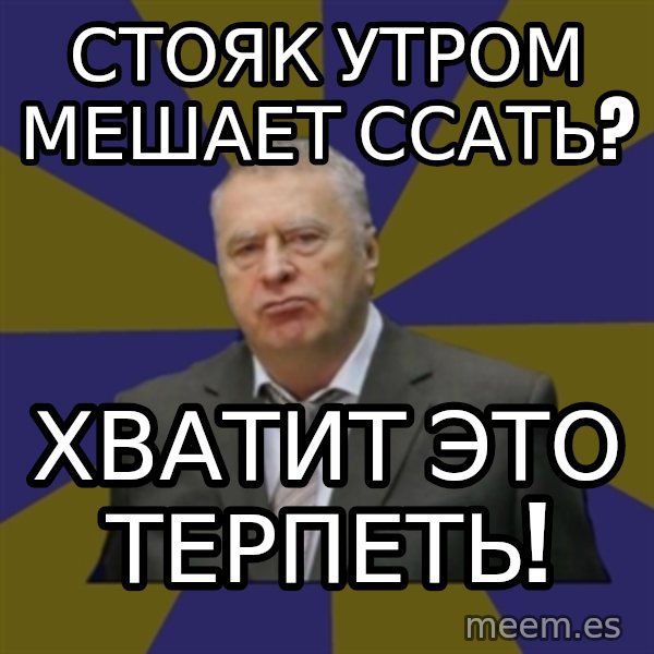 Vladimir Zhirinovsky meme: стояк утром мешает ссать? / хватит это терпеть!