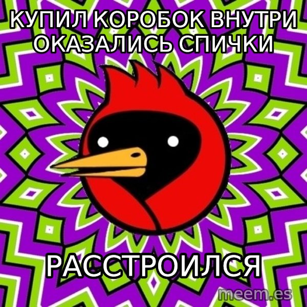 Omsk Crow meme: Купил коробок внутри оказались спички / расстроился