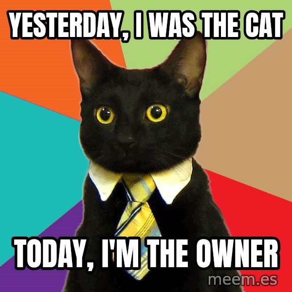 Business Cat meme: Yesterday, I was the cat / Today, i'm the owner