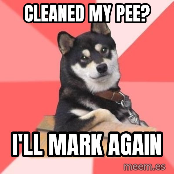 Cool Dog meme: cleaned my pee? / i'll mark again
