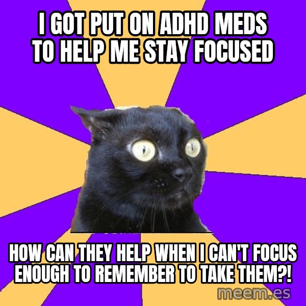 Anxiety Cat meme: i Got put on ADHD meds to help me stay focused / how can they help when I can't focus enough to remember to take them?!