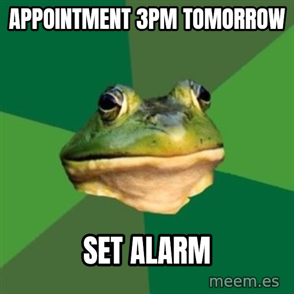 Foul Bachelor Frog meme: appointment 3pm tomorrow / set alarm