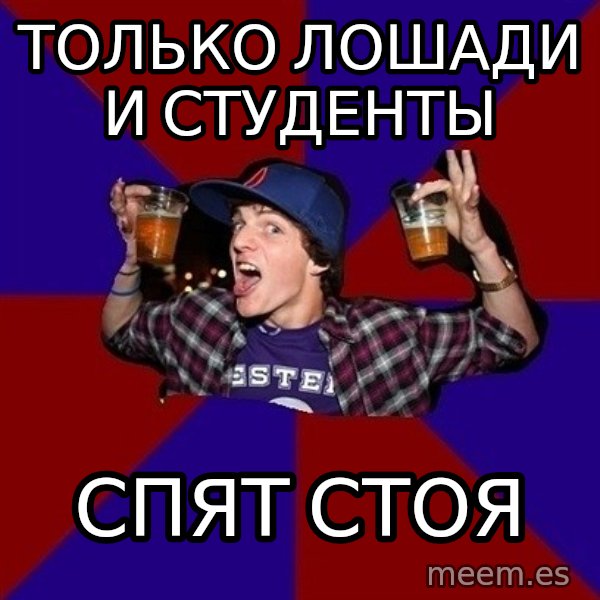 Sunny Student meme: только лошади     и студенты / спят стоя