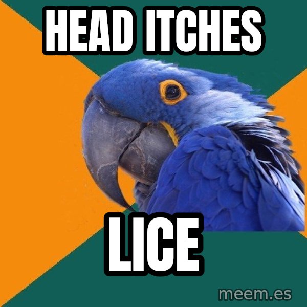 Paranoid Parrot meme: Head itches / lice
